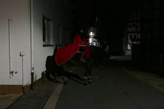 Sankt Martin Laternenumzug durch die Stadt (Foto: Karl-Franz Thiede)